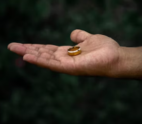 돌반지 1돈 가격 반돈 가격 금시세