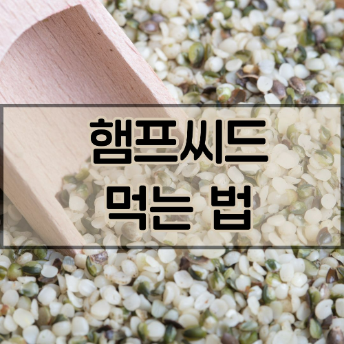 햄프씨드 먹는 법