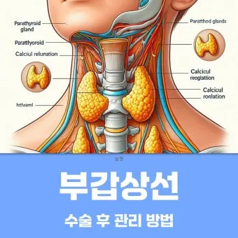 부갑상선기능항진증 수술 후기 2주차 내분비외과 내원 경험담_2
