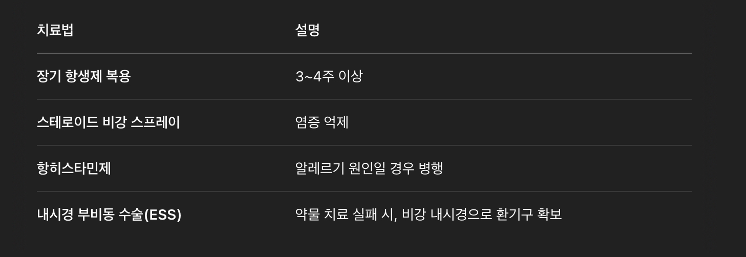 만성 부비동염