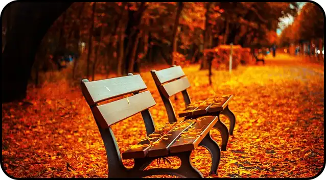 ๋ด์ฅ์ฐ ๋ฑ์ฐ์ฝ์ค ์ถ์ฒ(+ ๋ฑ์ฐ์ง๋ )