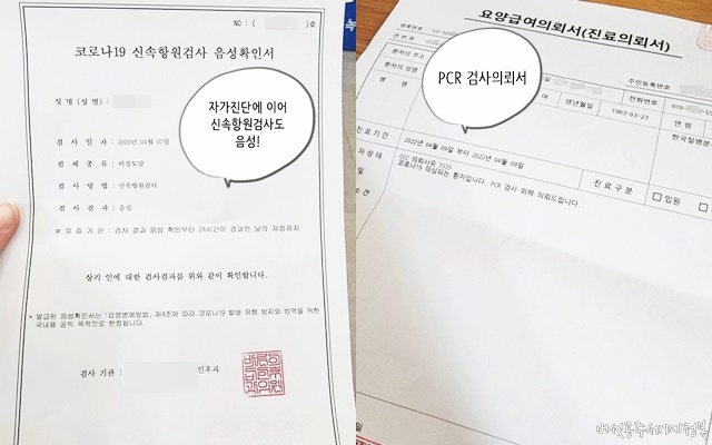 코로나19 신속항원검사 음성확인서