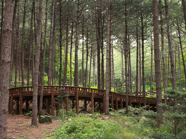 산음자연휴양림