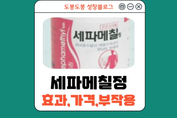 세파메칠정 안내 이미지