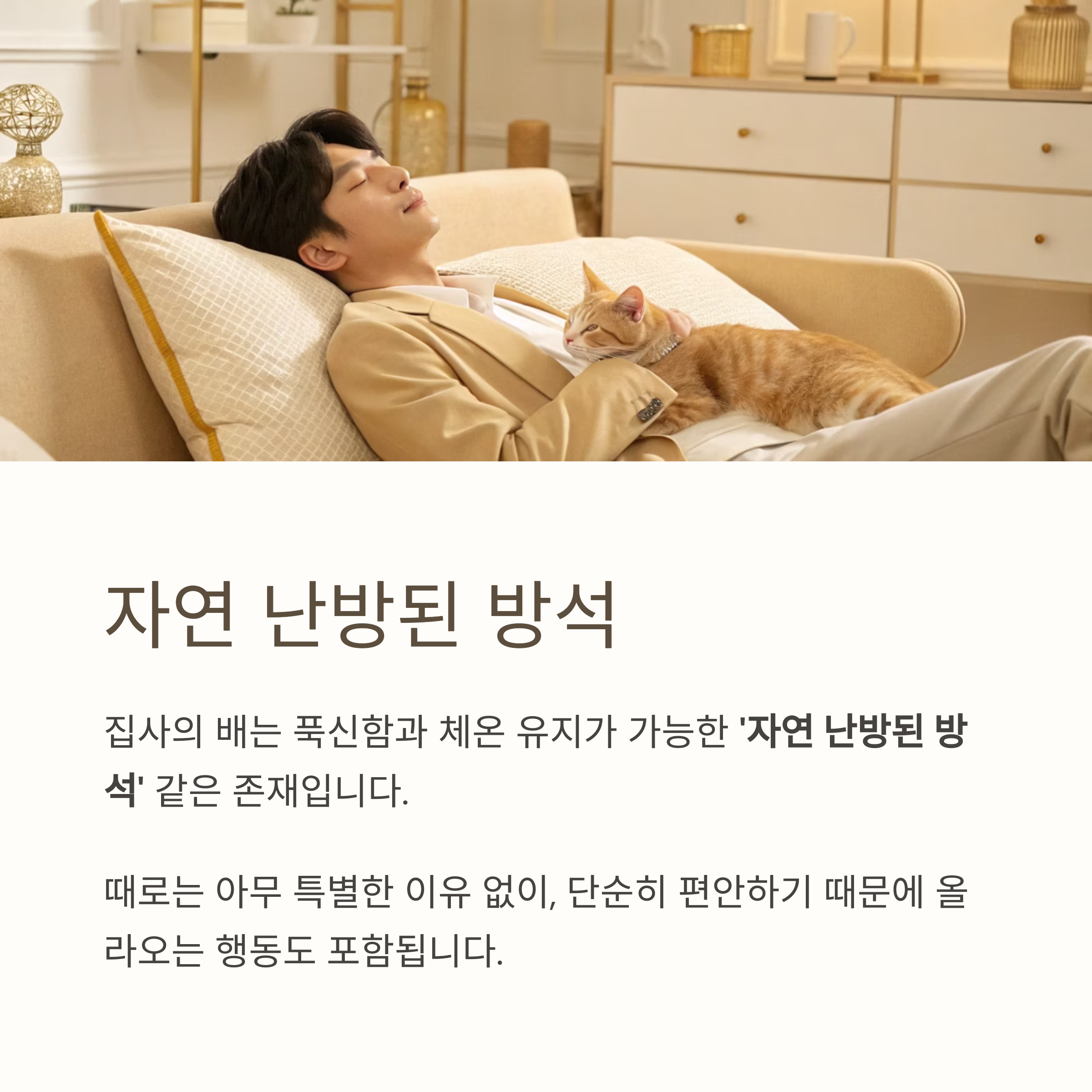 자연 난방된 방석