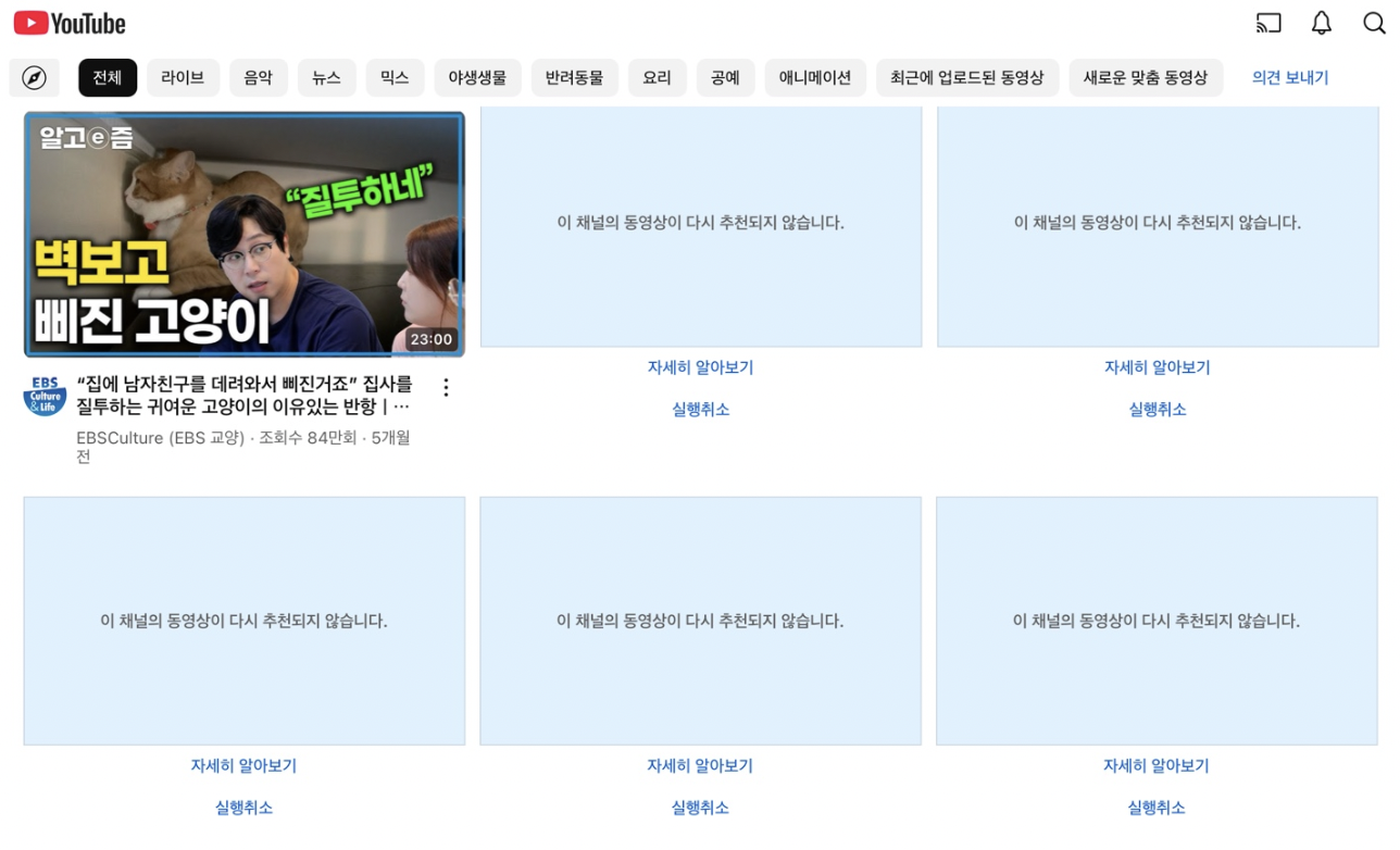 유튜브 캡처 화면. 노래 믹스와 벽보고 삐진 고양이 영상 외 모두 &amp;#39;이 채널의 동영상이 다시 추천되지 않습니다&amp;#39; 문구가 있다.