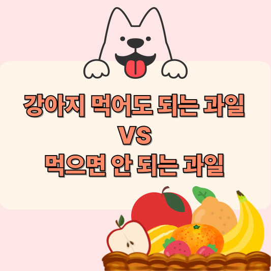강아지가 먹어도 되는 과일 &amp; 먹으면 안 되는 과일