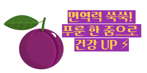 푸룬 건자두 효능 부작용