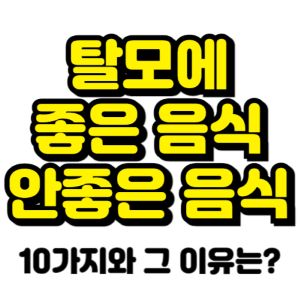 탈모에-좋은-음식-탈모에-안좋은-음식