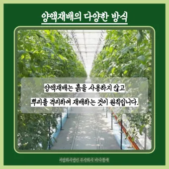 양액 재배 기초 배양액 비율 전기전도도 산도 관리_22