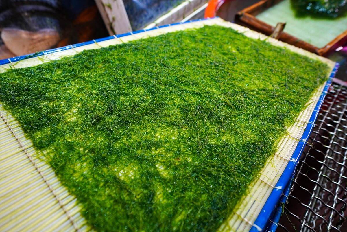 생방송오늘저녁 감태 온라인 주문 방법! 충남 서산