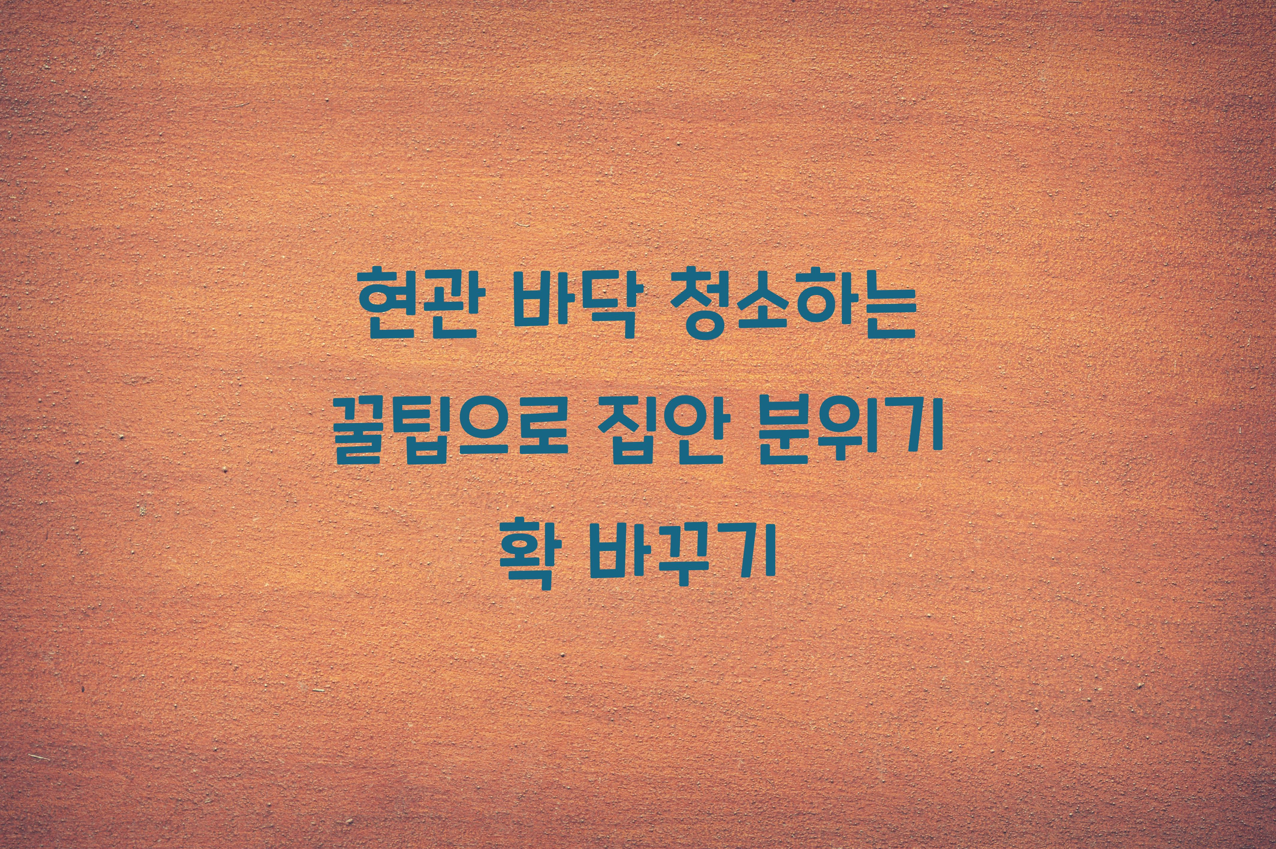 현관 바닥 청소하는 꿀팁