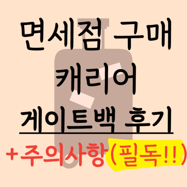 면세점-캐리어-구매-게이트백-후기-주의사항