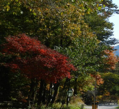 서운산 자연휴양림 숲나들e 국내 여행지 추천 관련사진
