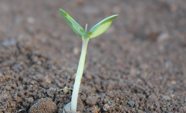 절기 &lsquo;우수(雨水)&rsquo;에도 강추위&hellip;봄보다 불붙은 산불 경보!