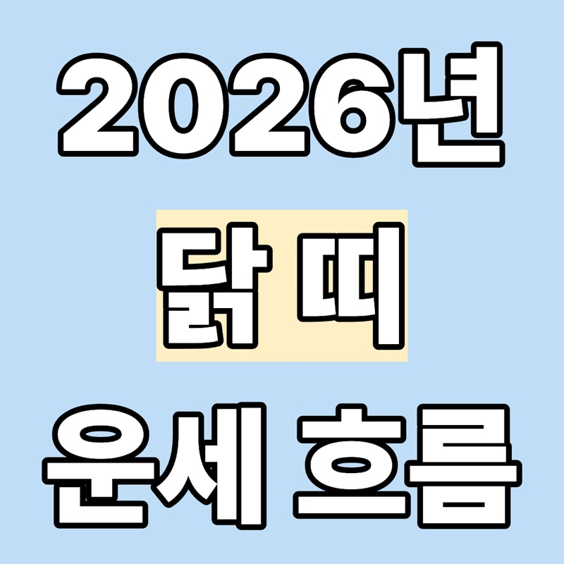 2026년 닭띠 운세 흐름 한눈에 정리