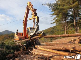 2025년 경북도 임업,산림 공익직접지불금 간편하게 신청하기