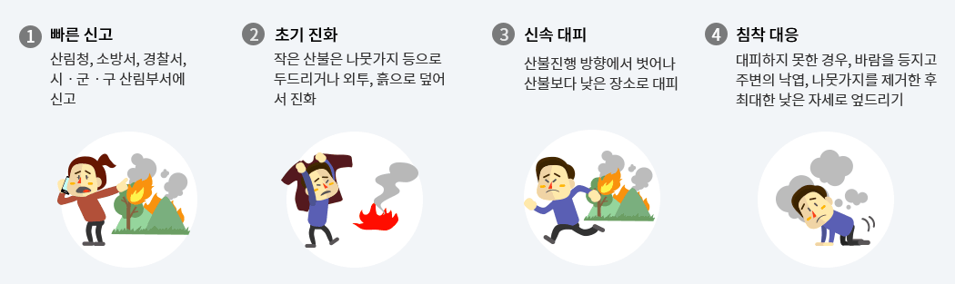 산불 피해 보상과 실시간 정보 확인