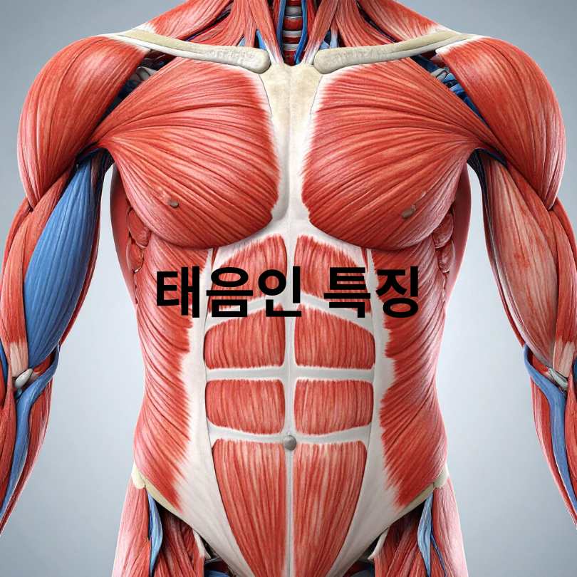 사상체질 자가진단: 태양인, 태음인, 소양인, 소음인 차이점과 테스트