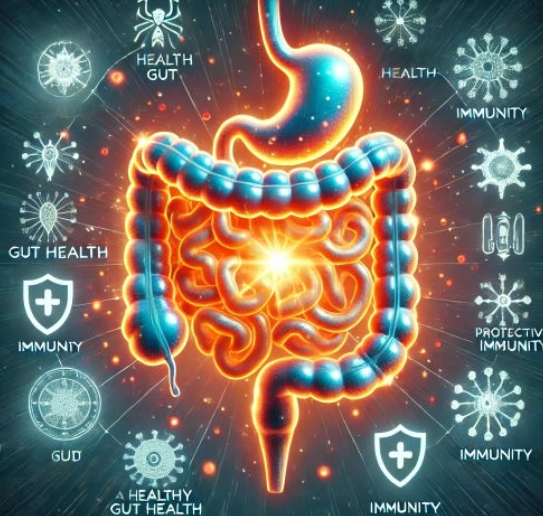 인체의 장기 사진