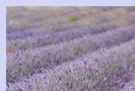 6월 국내 여행지 추천