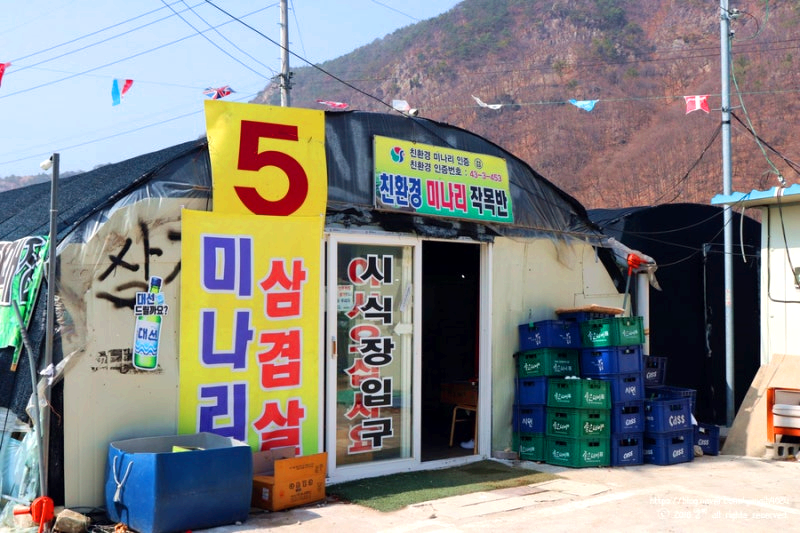 원동 미나리축제