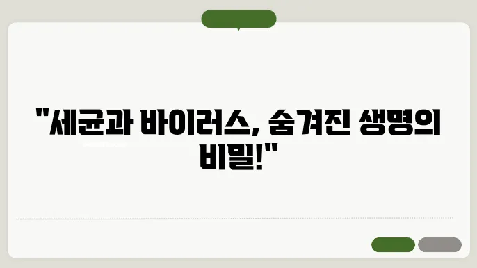 세균: 생태와 바르엘의 역할과 중요성
