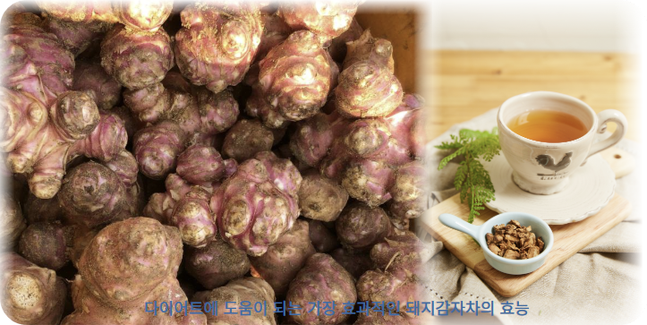 다이어트시 체중 조절과 포만감이 좋은 이유