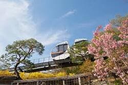 2024 화담숲 모노레일 예약방법 가을 단풍