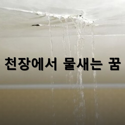 천장에서-물이-주르륵-주르륵-흐르는-모습