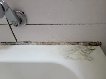 욕실 곰팡이 락스 희석비율과 안전수칙 환기방법_14