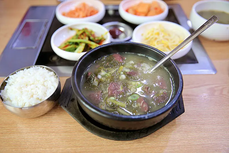 촬영 장소 우리 캠핑 왔어요 공주 한옥마을, 한우 육회알밤비빔밥 선지해장국 현지인 맛집 식당, 농원 농장 체험 오토 캠핑 가볼만한 곳 추천