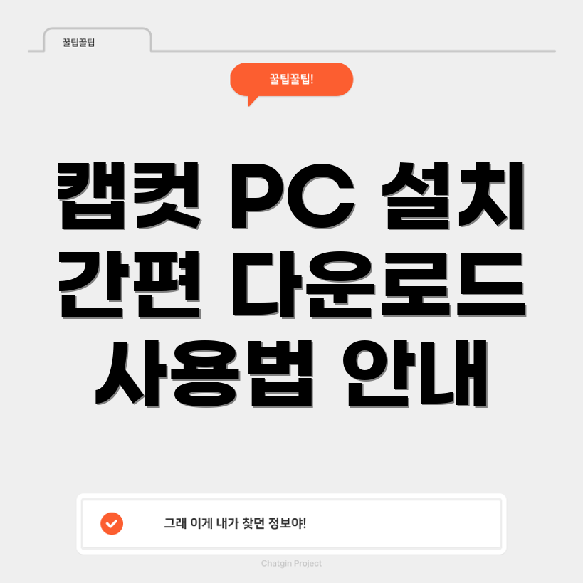 캡컷 PC 버전