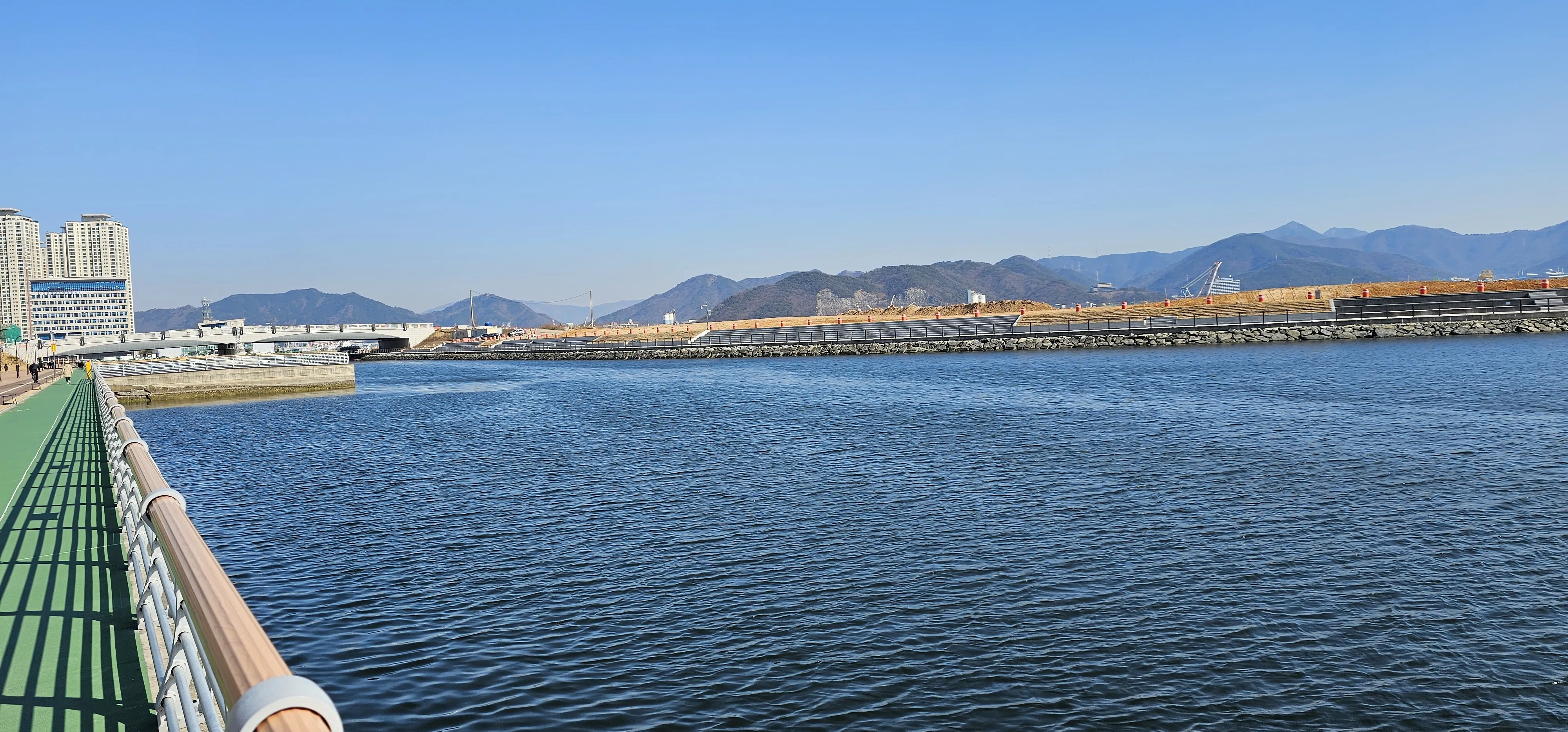 마산 해안도로 5월의 꽃 다정큼나무 산딸나무 해당화_2