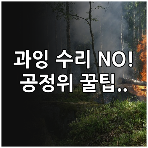 렌터카 반납 시 수리비 분쟁 공정위 ..