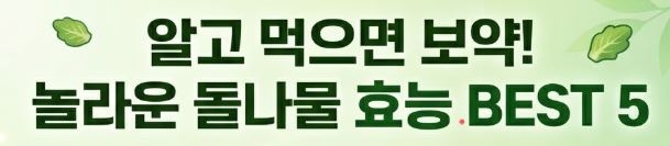 돌나물 효능