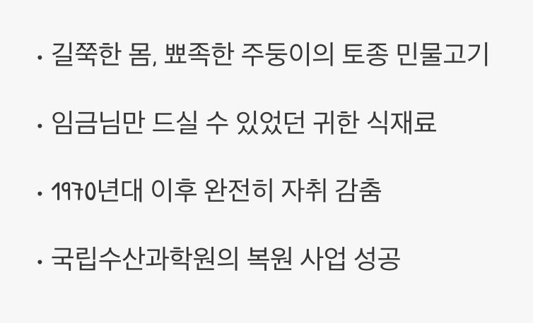 사라졌던 왕의 물고기