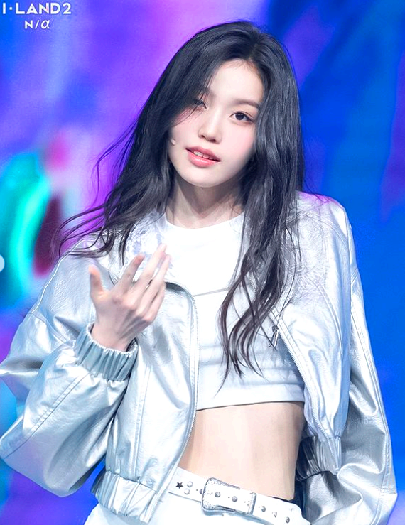 정세비