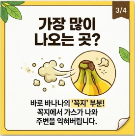 바나나 보관법