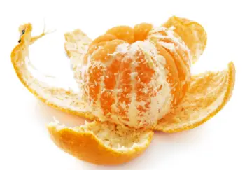 제주 귤 10kg 가격&amp;#44; 효능과 영양성분