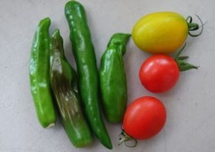 5월에 심어 먹는 농작물 이미지