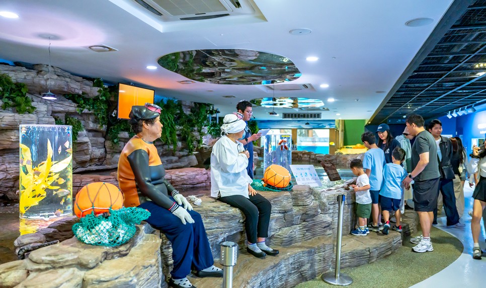 제주 동쪽 가볼만한곳 (아쿠아플라넷 제주)