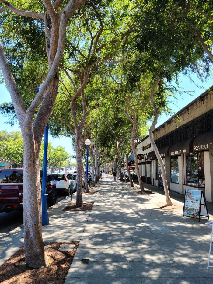 폐점한 five guys 앞 거리의 모습. 오른쪽으로는 낮은 상점들이 있고, 가운데는 길이, 왼쪽으로는 크고 잎이 많은 나무들이 줄지어 그늘을 만들어주고 있다.