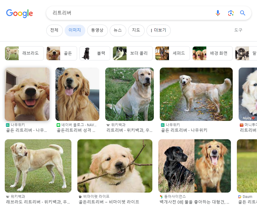 구글 이미지 검색 방법