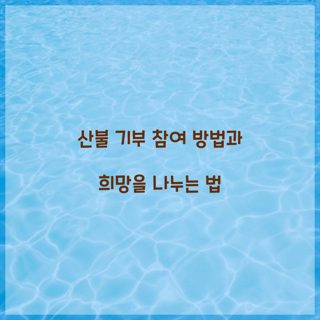 산불 기부