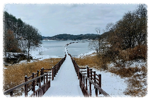 안동호반 산책로