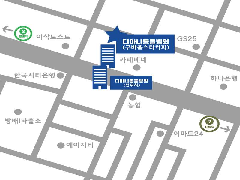2.1 디아나동물병원의 운영 특징