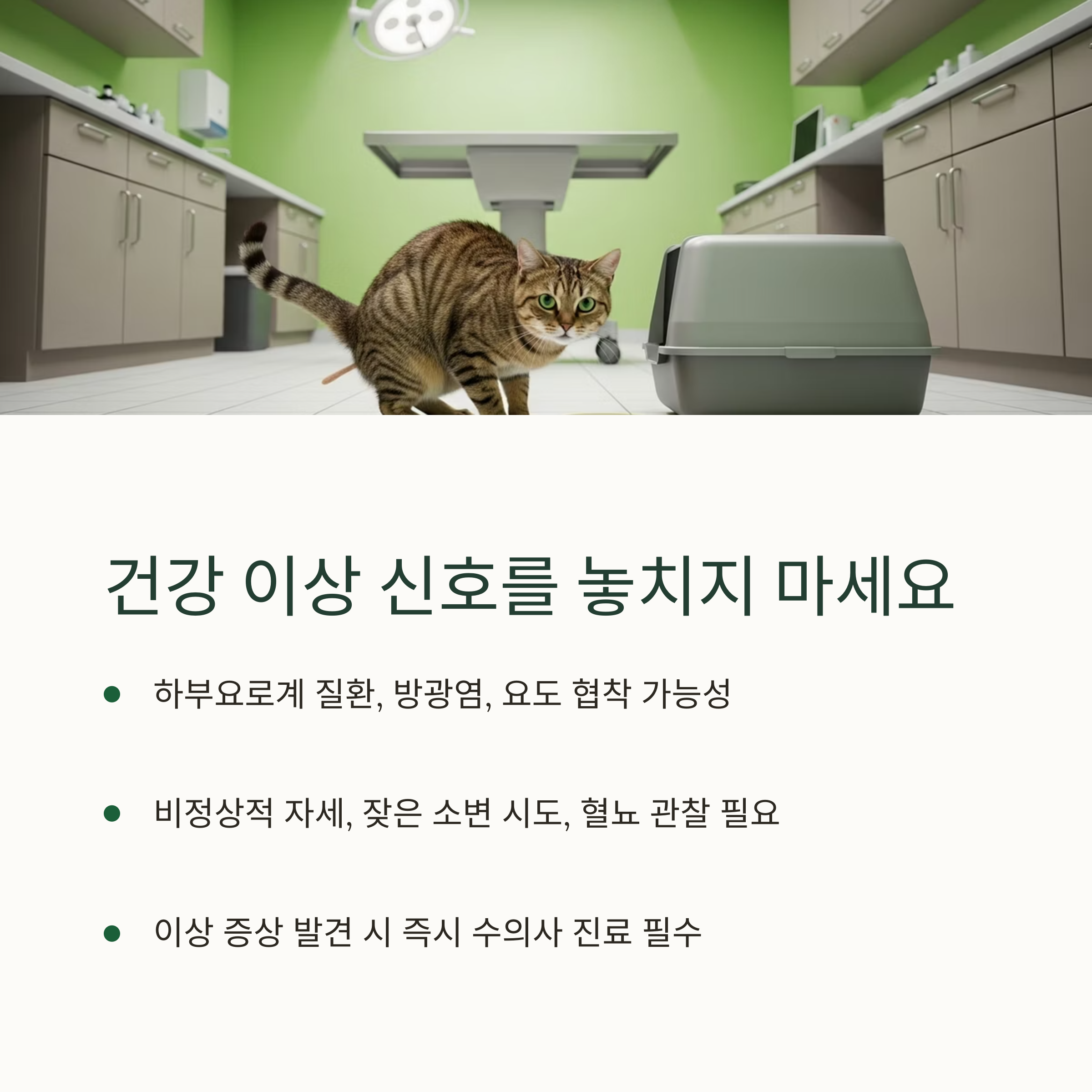 건강 이상 신호를 놓치지 마세요
