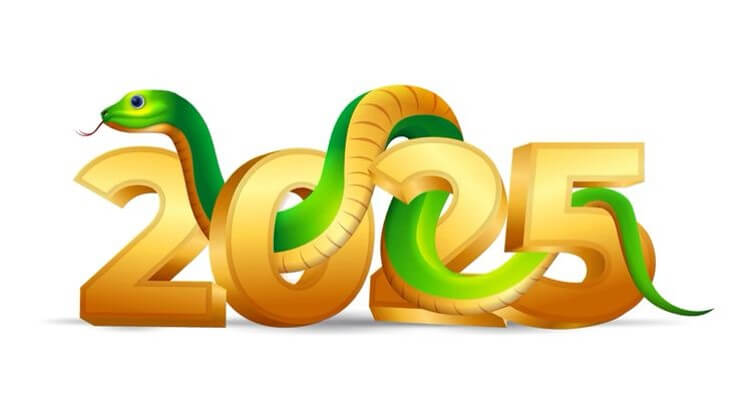 2025-뱀띠해-로고