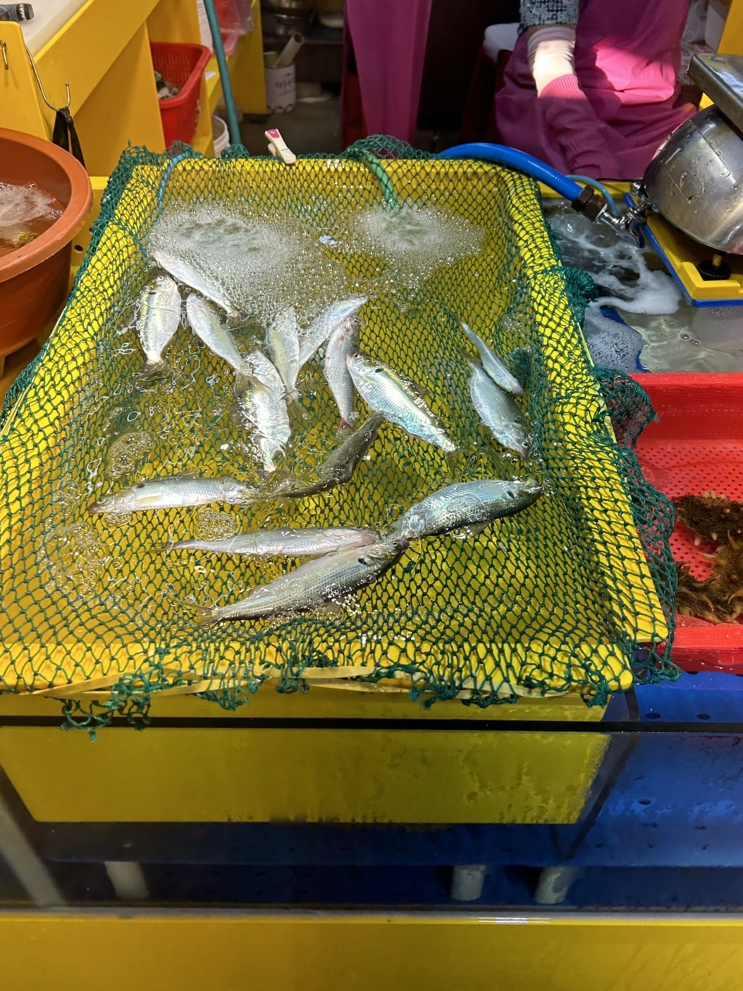 소래포구 전어